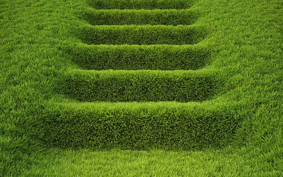 Marketing verde en las empresas que avanzan hacia la sostenibilidad