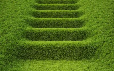 Importancia del Green Marketing dentro de las empresas que avanzan hacia la sostenibilidad