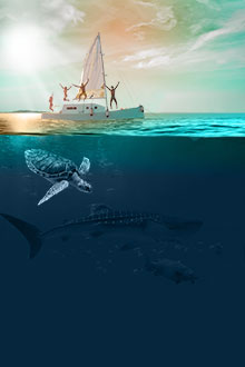 Agencia Facebook Ads